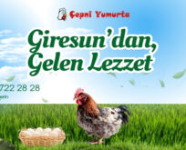 Giresun’un Doğal ve Organik Lezzeti Çepni Yumurta