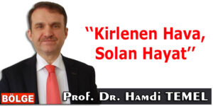 Kirlenen Hava, Solan Hayat