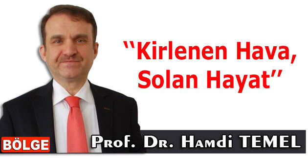 Kirlenen Hava, Solan Hayat