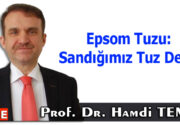 Epsom Tuzu: Sandığımız Tuz Değil Bugün Tıp Fakültesi öğrencileriyle yaptığım