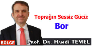 Toprağın Sessiz Gücü: Bor