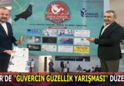ESENLER’DE ”GÜVERCİN GÜZELLİK YARIŞMASI” DÜZENLENDİ Esenler Güvercin Sevenler Derneği tarafından