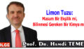 Limon Tuzu: Masum Bir Ekşilik mi, Bilinmesi Gereken Bir Kimya mı?