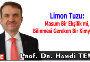 Limon Tuzu: Masum Bir Ekşilik mi, Bilinmesi Gereken Bir Kimya