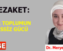 NEZAKET: BİR TOPLUMUN SESSİZ GÜCÜ