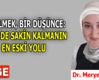 BİR İLMEK, BİR DÜŞÜNCE: ŞEHİRDE SAKİN KALMANIN EN ESKİ YOLU