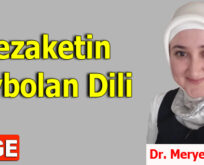 Nezaketin Kaybolan Dili