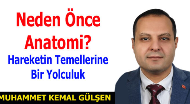 Neden Önce Anatomi? Hareketin Temellerine Bir Yolculuk