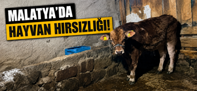 MALATYA’DA HAYVAN HIRSIZLIĞI ENDİŞESİ BÜYÜYOR