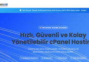 Uygun Fiyatlı Cpanel Hosting Satın Almanın İşletmelere Sağladığı Avantajlar İşletmeler
