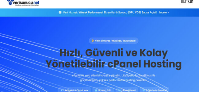Uygun Fiyatlı Cpanel Hosting Satın Almanın İşletmelere Sağladığı Avantajlar