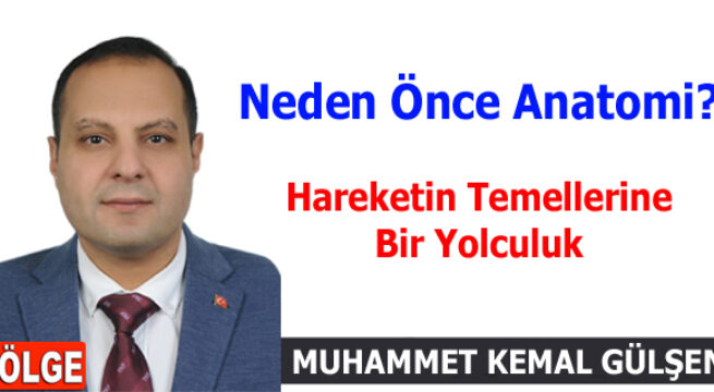 Neden Önce Anatomi? Hareketin Temellerine Bir Yolculuk