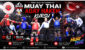 Adana’da Muaythai Aday Hakem Kursu Düzenleniyor