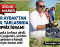 Marul Tarlasında Dev Çiğ Köfte Şovu!