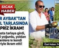 Marul Tarlasında Dev Çiğ Köfte Şovu!