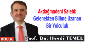Akdağmadeni Salebi: Gelenekten Bilime Uzanan Bir Yolculuk