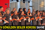 LÖSEV GÖNÜLDEN SESLER KOROSU, 4. ULUSLARARASI İSTANBUL KORO FESTİVALİ’NDE SAHNE ALDI