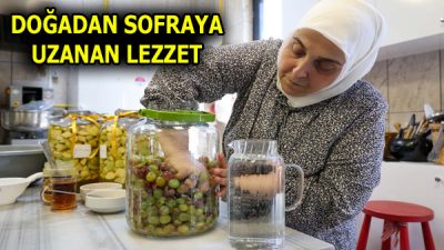 Esenler Belediyesi bünyesinde hizmet veren Şule Yüksel Şenler Hanımlar Konağı’nda